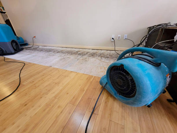 Professional Water Damage Repair technician working in Lost Hills, CA